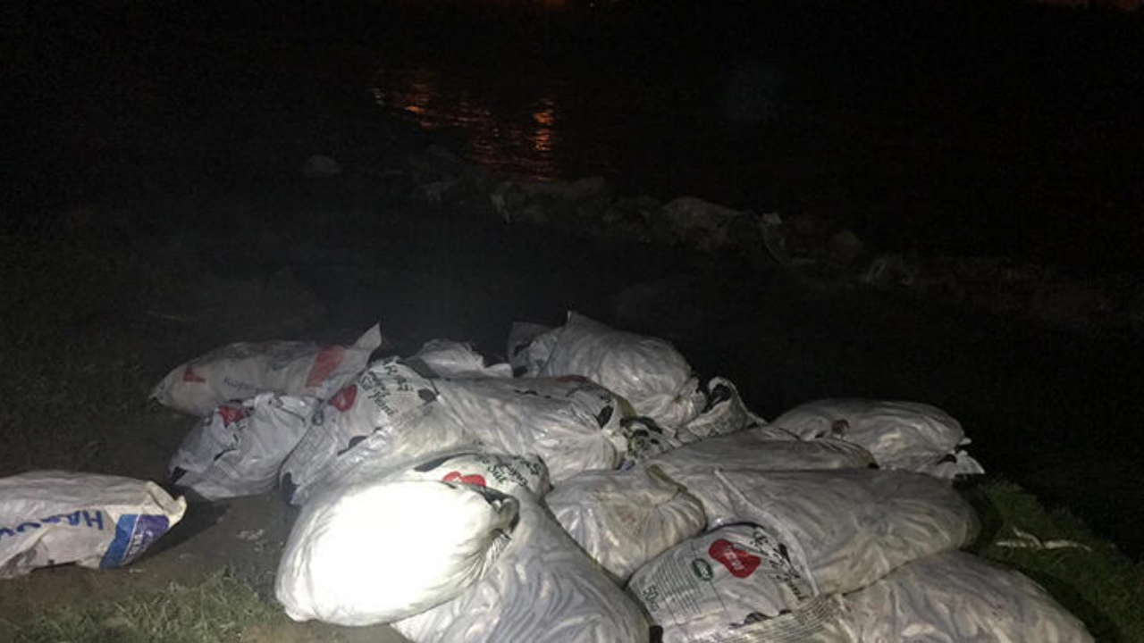 Van'da yakalandı! Tam 5,5 ton ve 3'te biri canlıydı...