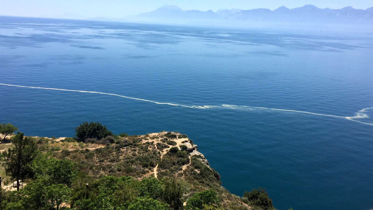 Antalya'da denizdeki sarı tabakanın nedeni ortaya çıktı!