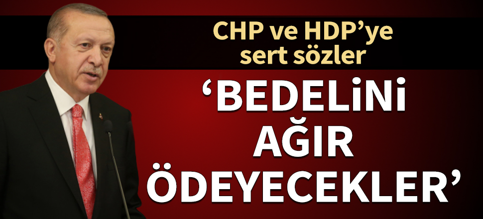Cumhurbaşkanı Erdoğan'dan CHP ve HDP'ye sert sözler: Bedelini ağır ödeyecekler