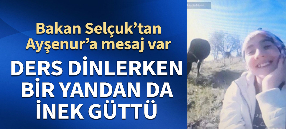 Ders dinlerken bir yandan da inek güttü! Bakan Selçuk'tan Ayşenur'a mesaj var...