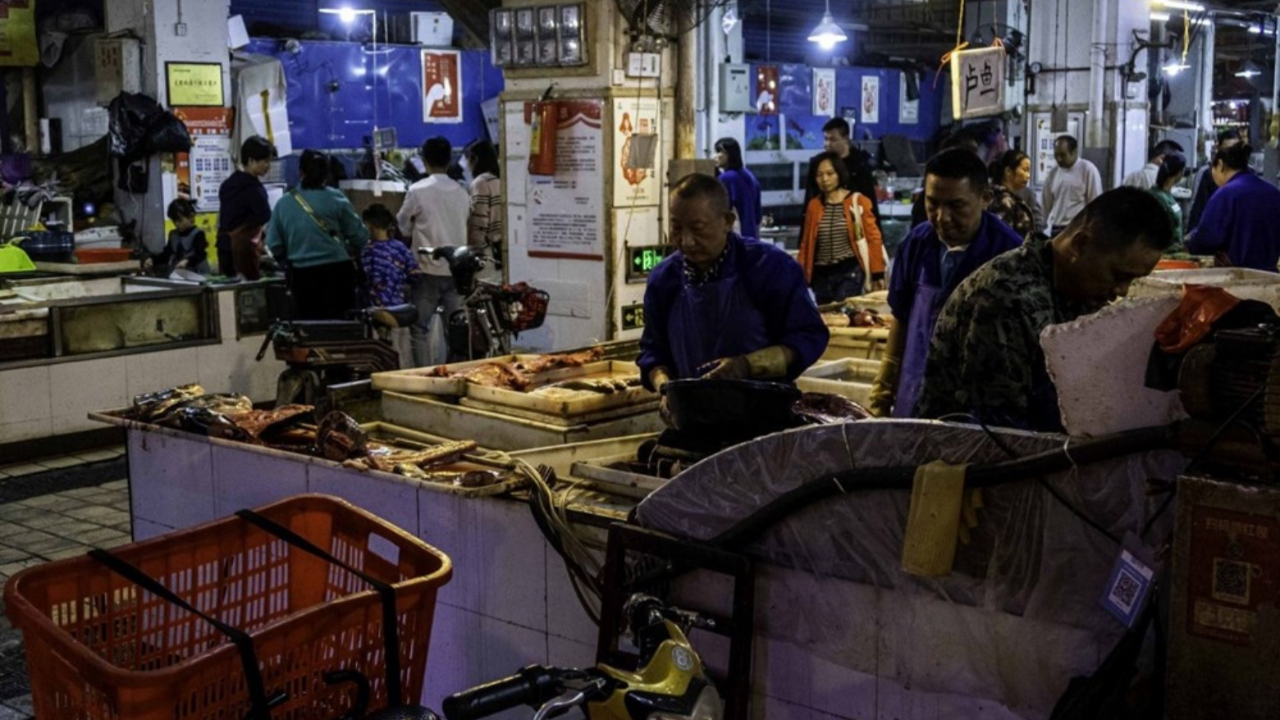 Yeni koronavirüs araştırması! "Veriler Wuhan'ı işaret etmiyor!"