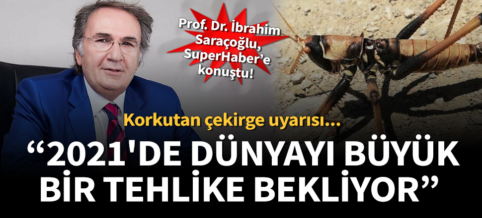 Prof. Dr. İbrahim Saraçoğlu'dan koronavirüse karşı iyi gelen doğal bitkiler ve uçucu yağların sırrı!