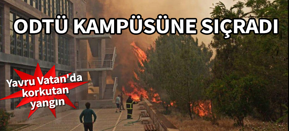 Yavru Vatan'da korkutan yangın! ODTÜ kampüsüne de sıçradı…