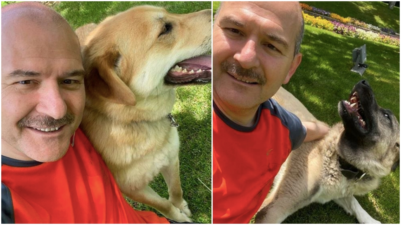 Yürek ısıtan kareler! İşte Bakan Soylu'nun can dostları...