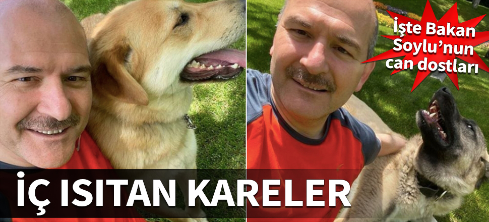 Yürek ısıtan kareler! İşte Bakan Soylu'nun can dostları...