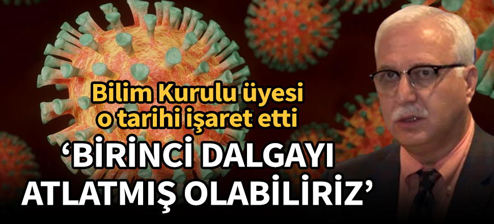 Bilim Kurulu üyesi Prof. Dr. Tevfik Özlü: Bayram sonu birinci dalgayı atlatmış olabiliriz