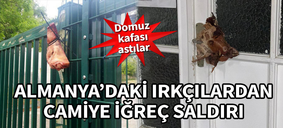 Almanya'daki ırkçılardan camiye iğrenç saldırı! Domuz kafası astılar...