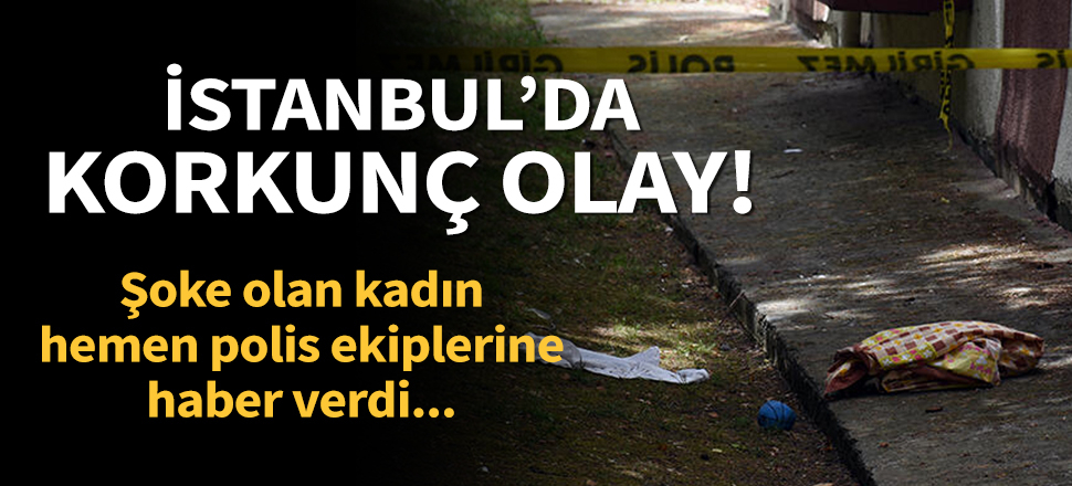 Son dakika... Büyükçekmece'de korkunç olay! Önce oyuncak sandı yaklaşınca yıkıldı