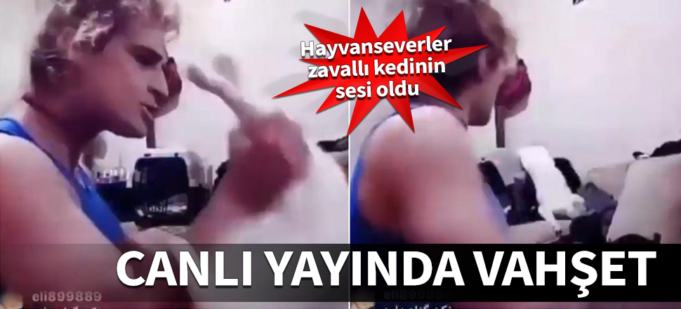 Canlı yayında vahşet! Hayvanseverler zavallı kedinin sesi oldu