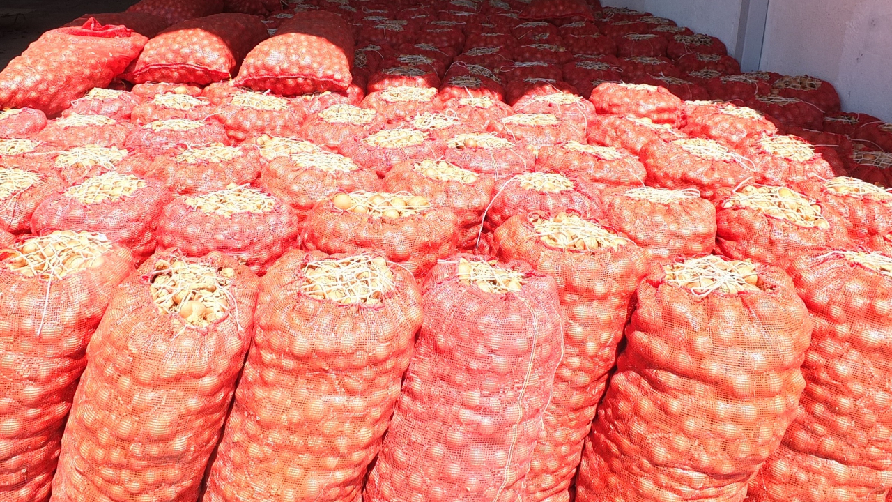 Eski sevgilisine 1 ton soğan gönderdi! "Günlerce ağladım, sıra sende"