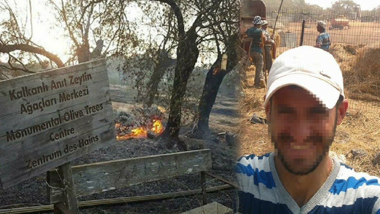 Son dakika... KKTC'deki yangın dehşetinde çileden çıkaran savunma!