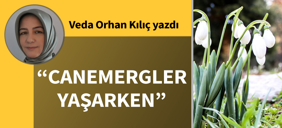 “Canemergler Yaşarken”