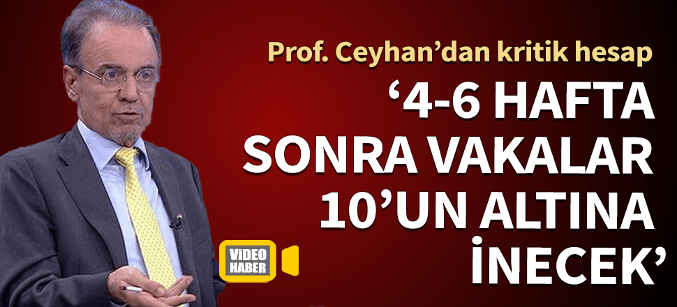 Prof. Ceyhan'dan kritik tahmin! "4-6 hafta sonra vakalar 10'un altına inecek..."