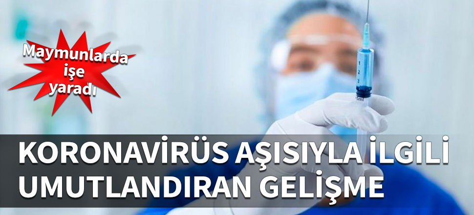 Koronavirüs aşısıyla ilgili önemli gelişme!