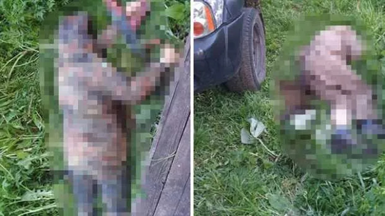 Ukrayna’da katliam: 7 kişiyi öldürdü!