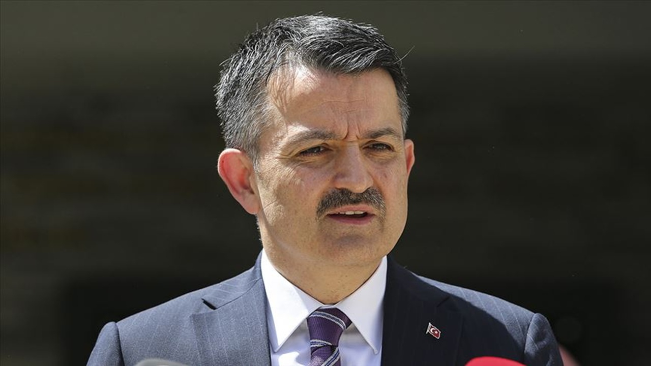 Tarım Bakanı Pakdemirli açıkladı! Hesaplara yatırılacak