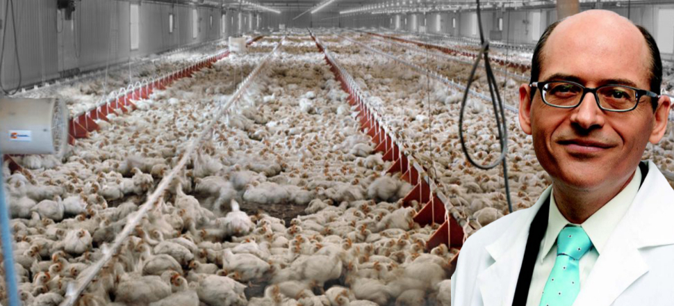 ABD'li bilim insanı uyardı: Dünya nüfusunun yarısını öldürecek
