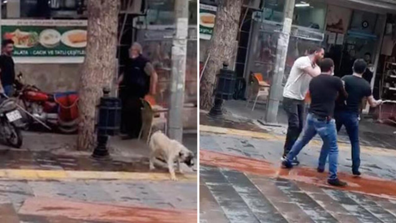Köpeği fırça sapıyla dövdü, hızını alamadı...