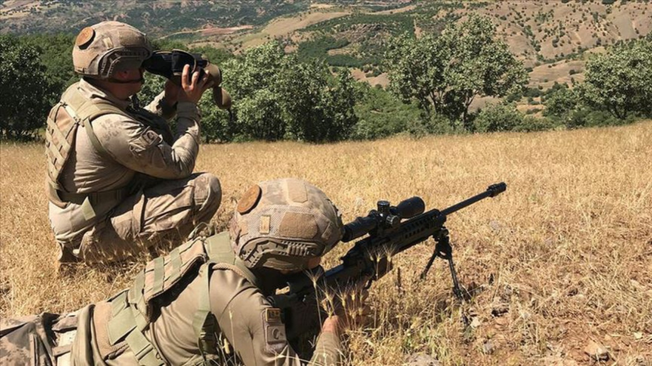 Tunceli'de terör örgütüne darbe!
