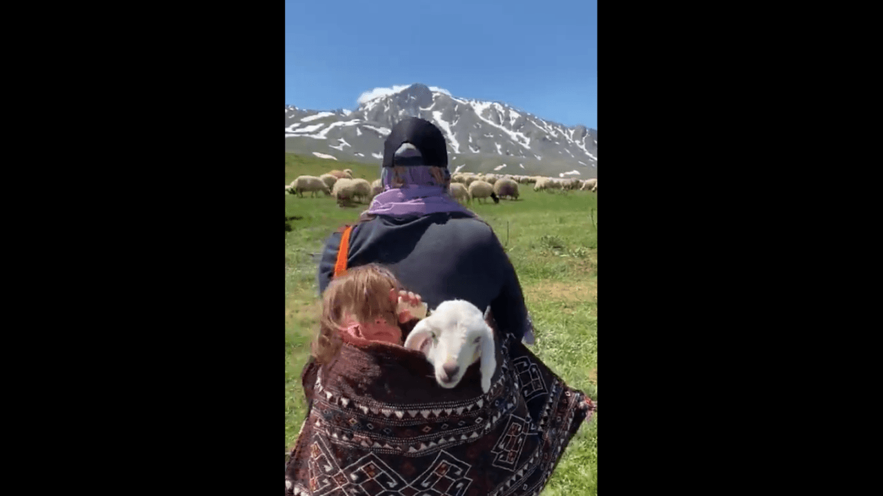 Erzincanlının yaylaya göçü başladı...