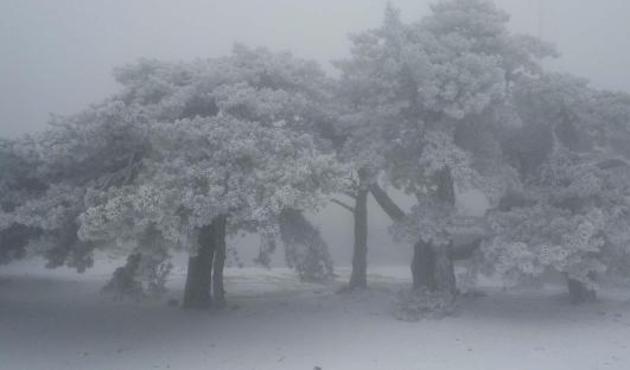 Meteorolojiden yeni kar uyarısı!