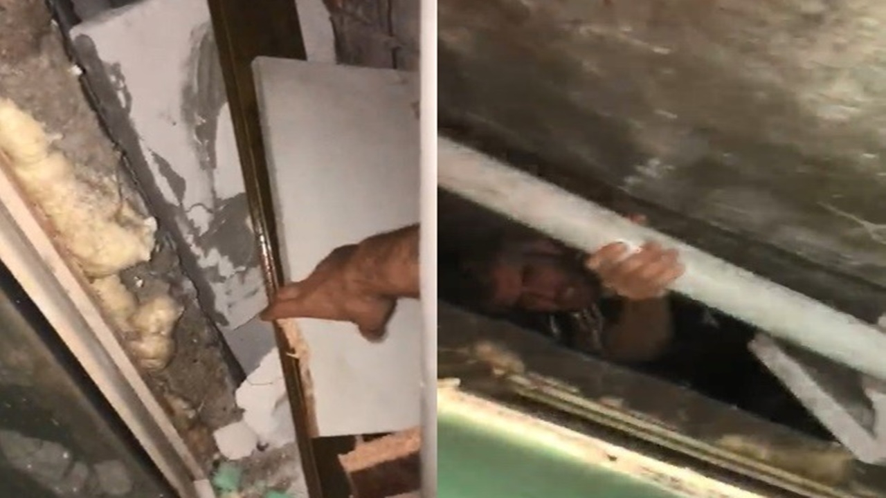 Uyuşturucu ticaretinden 12 yıl hapis cezası aldı