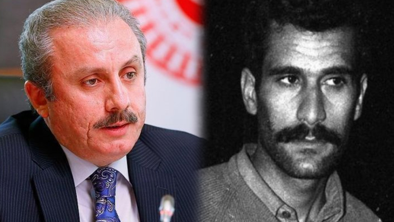 TBMM Başkanı Şentop: Düzenleme Deniz Gezmiş hükmüne emsal teşkil etmez
