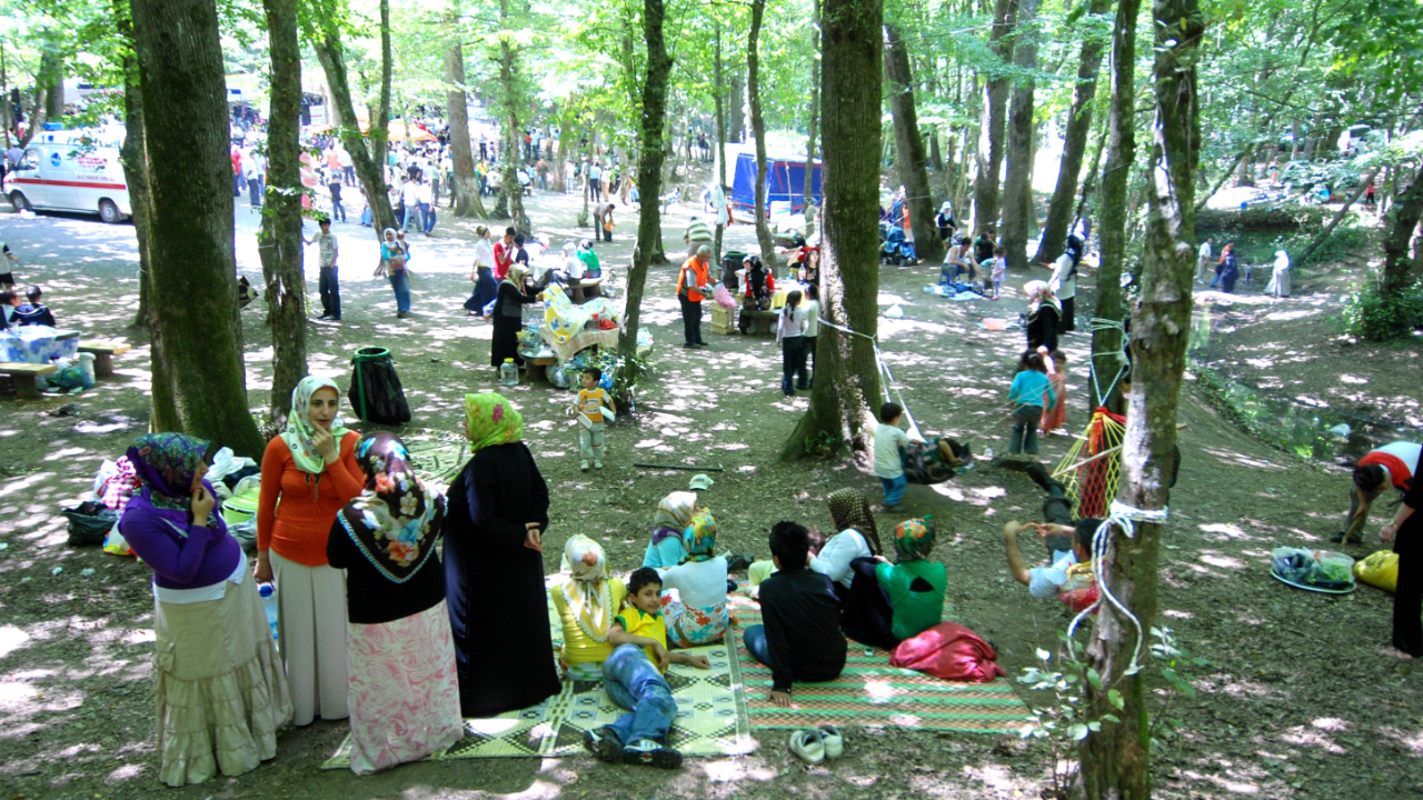 İstanbul'da yeni tehlike: Lyme