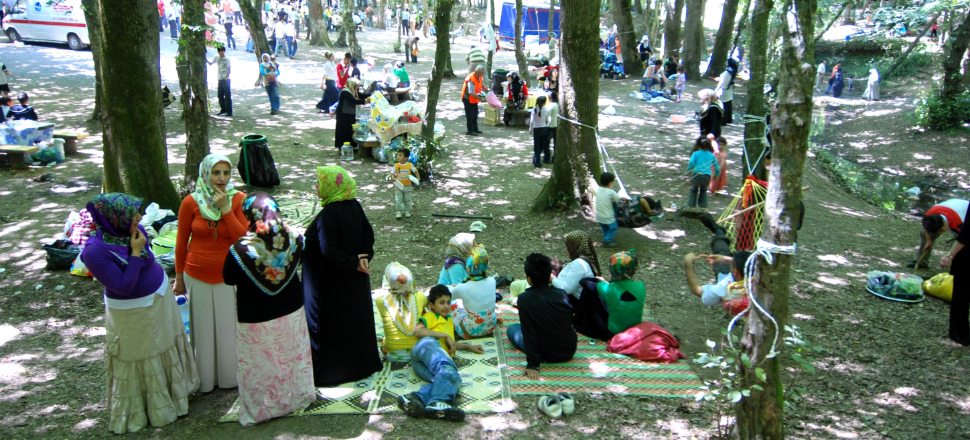 İstanbul'da yeni tehlike: Lyme
