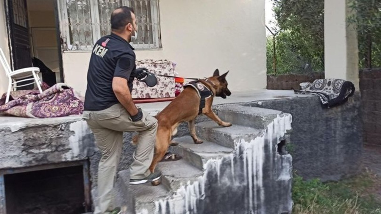 Zehir tacirlerine şok baskın!