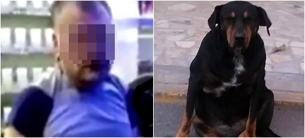 Aylarca tecavüz ettiği köpek öldü!