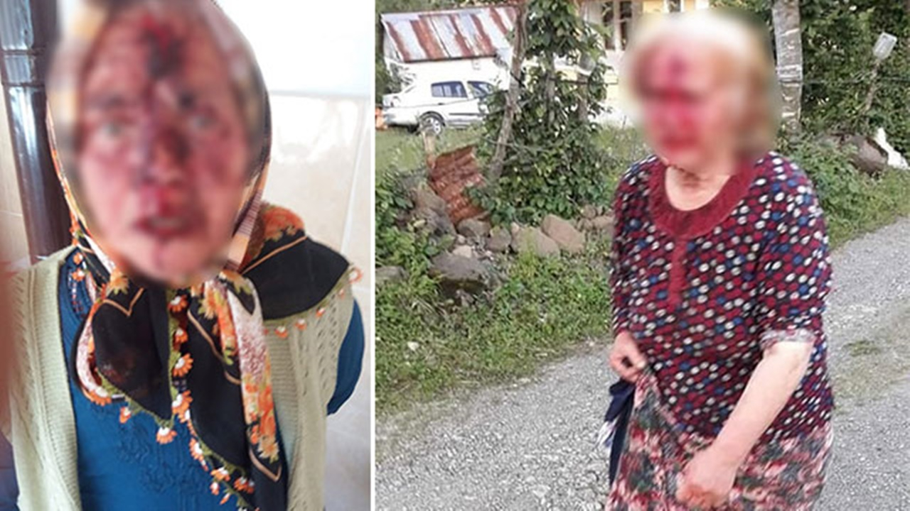 Baltayla yengesinin başına vurmuştu
