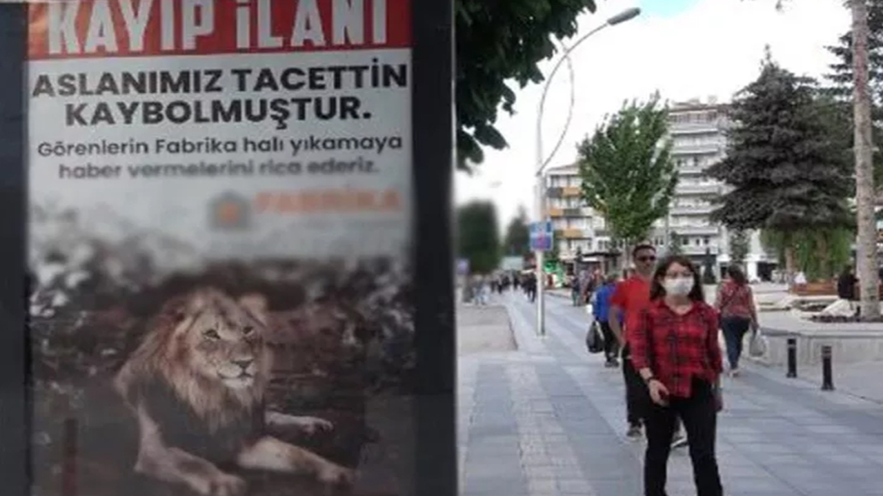Bu ilan Çorum'u karıştırdı: Aslanımız Tacettin kaybolmuştur