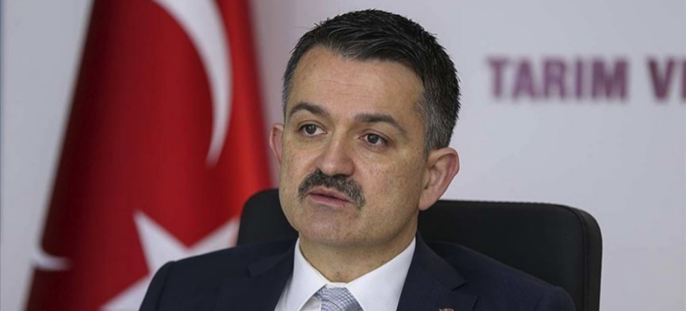 Kurban Bayramında 4,7 milyon hayvan kesim için hazır bekliyor