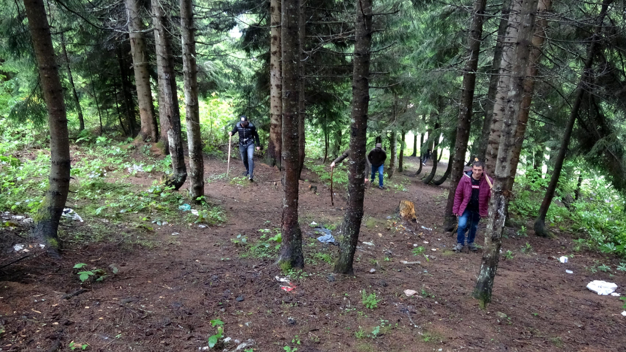 Karadeniz’de sayısı artan ayılar korkutuyor
