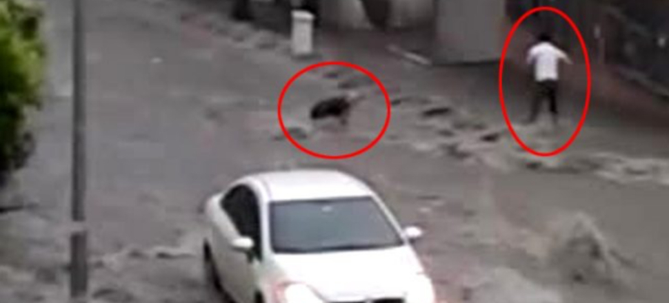 İstanbul'da ölüm kalım savaşı