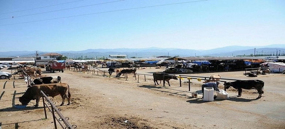 Bu tarihleri kaçırmayın