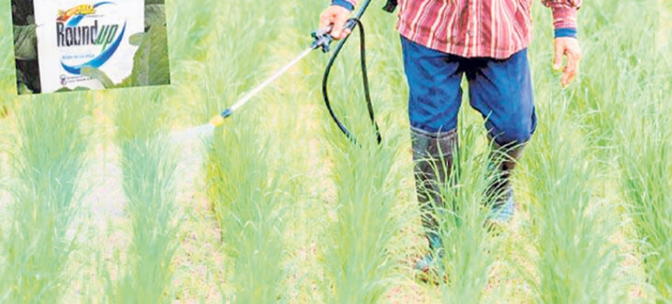 Bayer yiyeceklere kanser bulaştırdı!