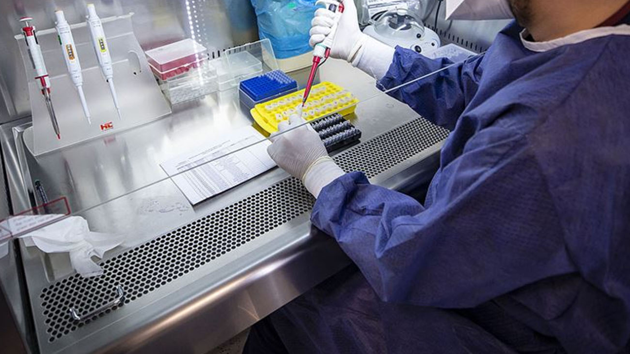 PCR testi ücreti belli oldu