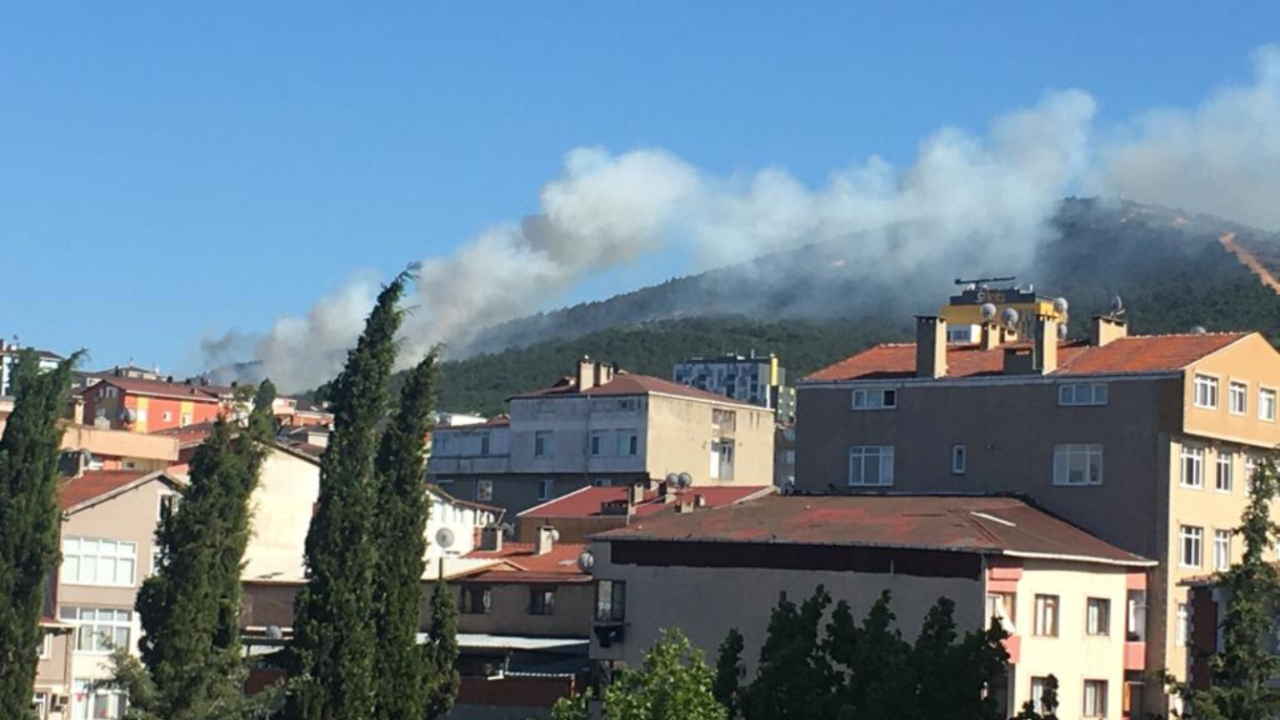 Kayışdağı'nda orman yangını