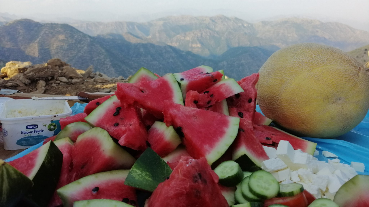 Mehmetçik'in Haftanin'de karpuz keyfi