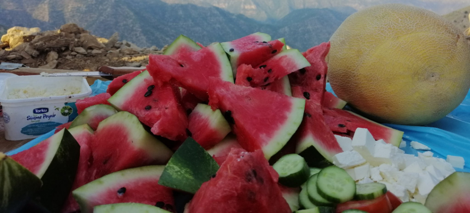 Mehmetçik'in Haftanin'de karpuz keyfi