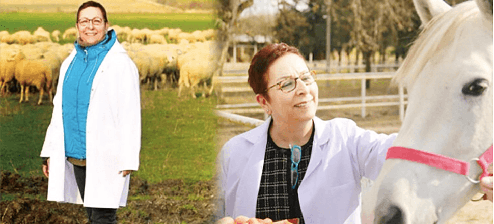 TİGEM Genel Müdürü Ayşe Ayşin Işıkgece: Bu göreve benim askerlik görevim diye bakıyorum