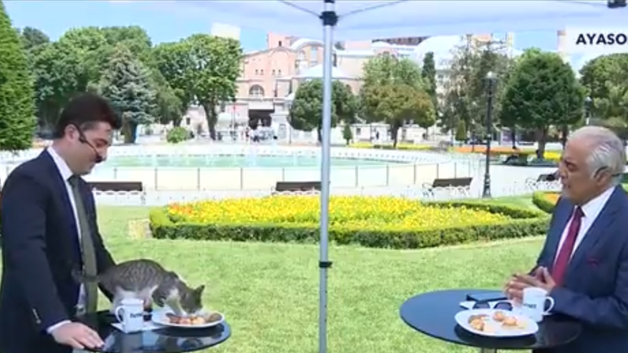 Canlı yayının şirin davetsiz misafiri