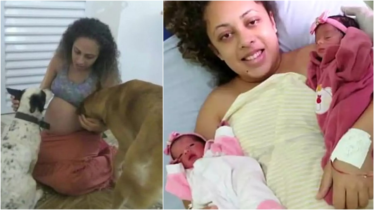 Köpeği ikiz bebeklerini parçaladı