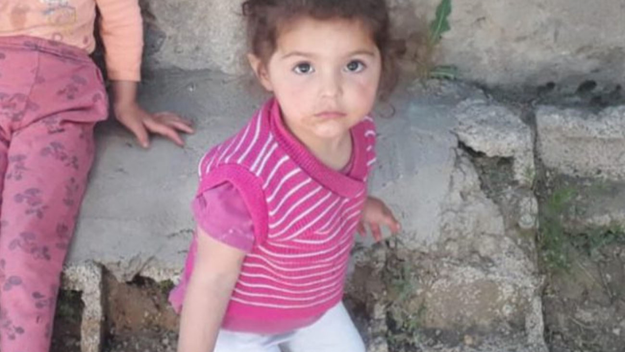 Van'da kaybolan 2 yaşındaki Melek'ten acı haber!