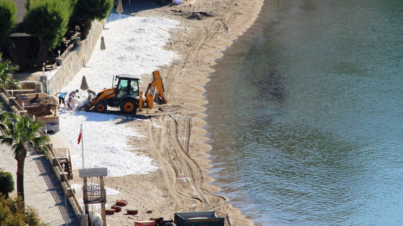 Bodrum sahillerinde ölümcül kum!