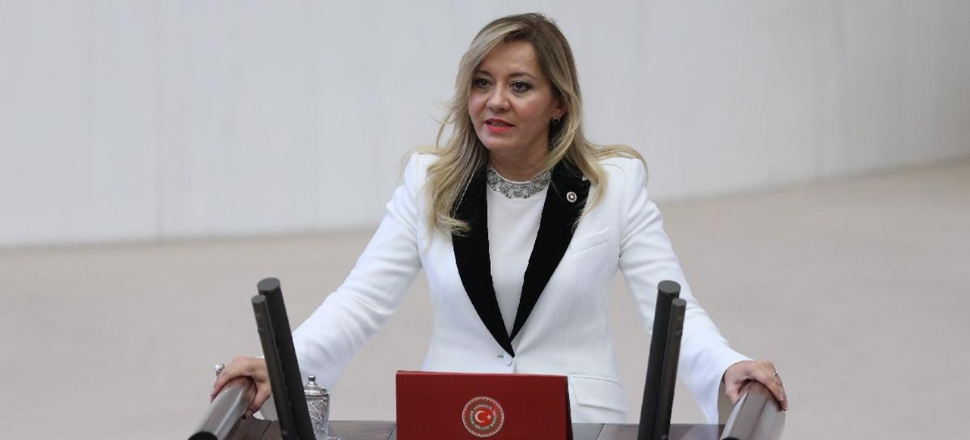 İYİ Partili Aylin Cesur'dan skandal sözler