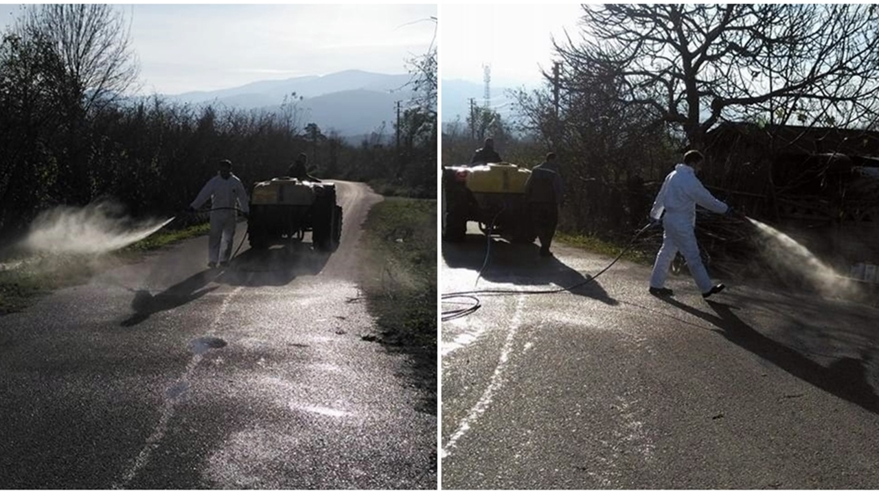 14 büyükbaş havan öldü, mera kapatıldı