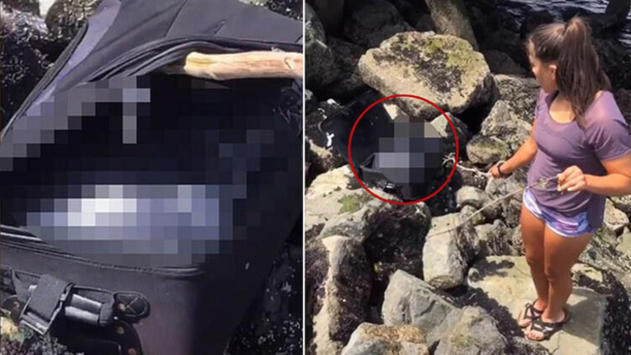 Bavul cinayetini çözene para ödülü